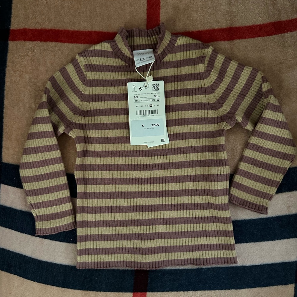 Zara Striped Long Sleeve Top in Purple and Tan